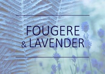 Fragrance trends - Fougere and lavender